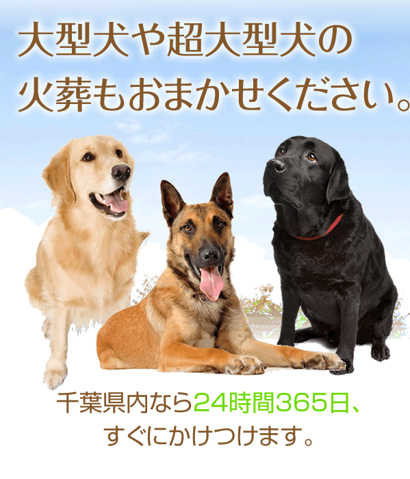 あなたとその子のために24時間365日今すぐかけつけます