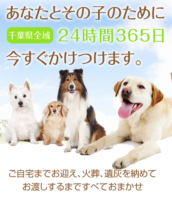 あなたとその子のために24時間365日今すぐかけつけます